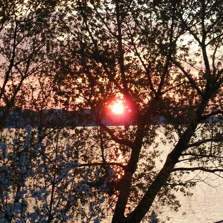 Pansion Marta Guest house Bibinje