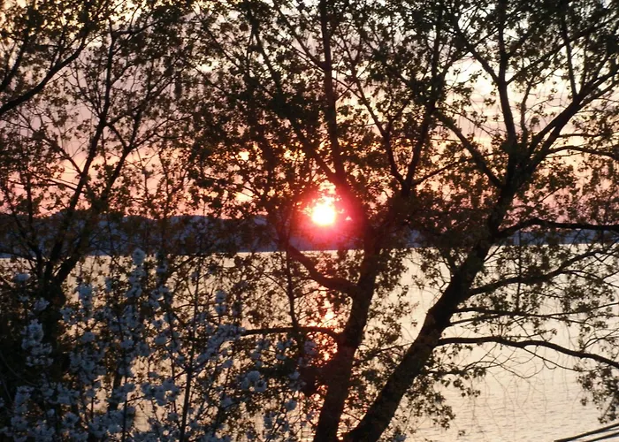 Pansion Marta בית הארחה ביבינייה