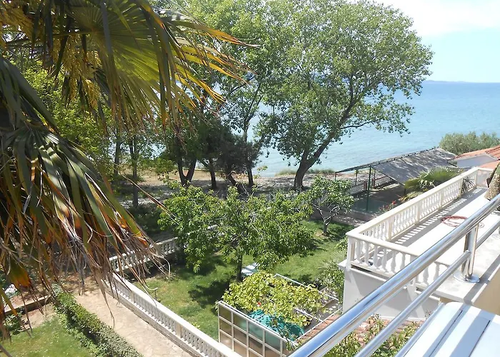 Guest house Pansion Marta 3*