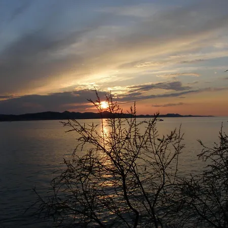 Pansion Marta 3* ビビニェ