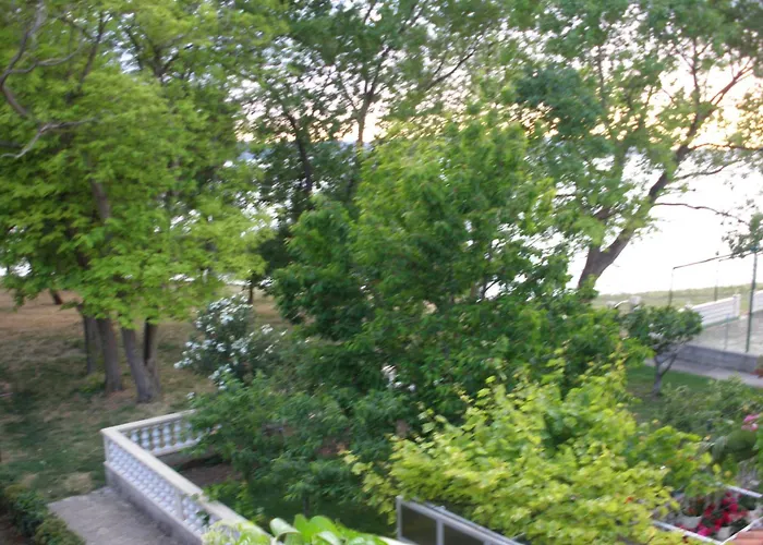 Pansion Marta ゲストハウス ビビニェ