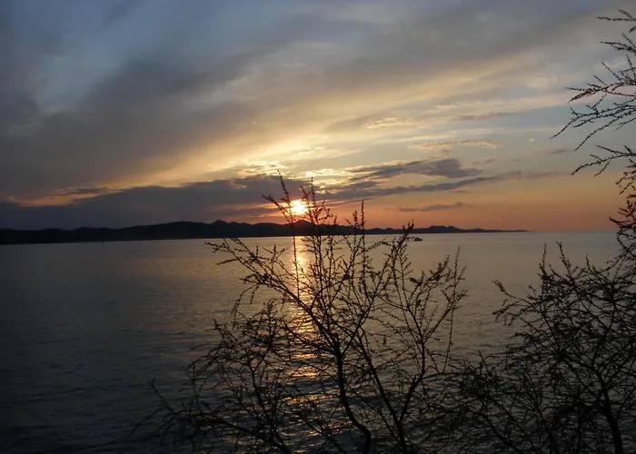 Pansion Marta 3* ビビニェ